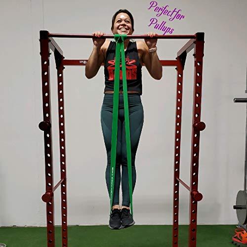 The x Bands THE X BANDS Long Resistance Bands - Squat Bands - Booty Band - Pull Up Bands - Loop Bands - Fitness Bands Resistance Long - Rubber Resistance Bands - Extra Strong Resistance Bands - Set of 5…