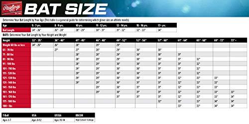 Rawlings Rawlings | 5150 Baseball Bat | USA | -11 | 2 5/8\" Barrel | 30\"