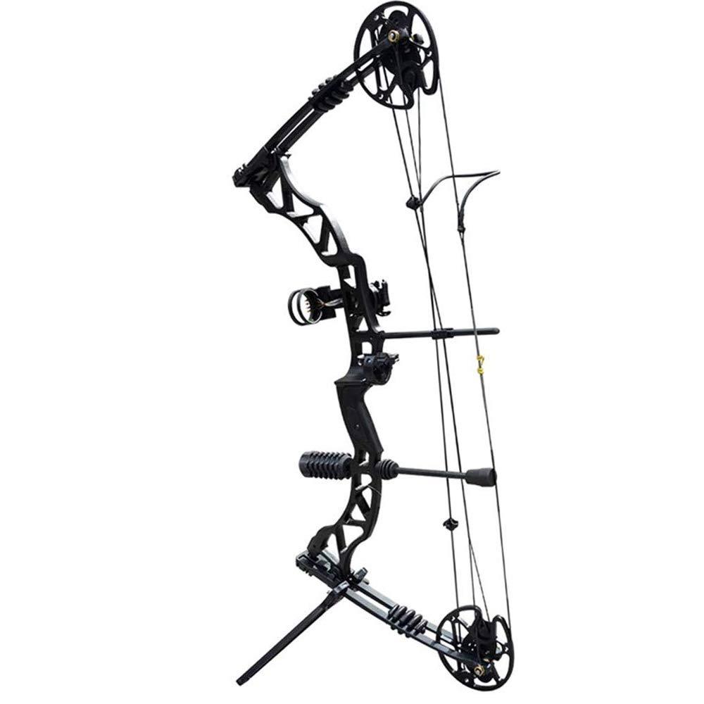 SHARROW SHARROW Archery Compound Bow Kit 30-70lbs Complete Compound Bow Arrow Package Set Adult Hunting Bow with Carbon Arrows 329FPS Right Hand (Black Bow Set)