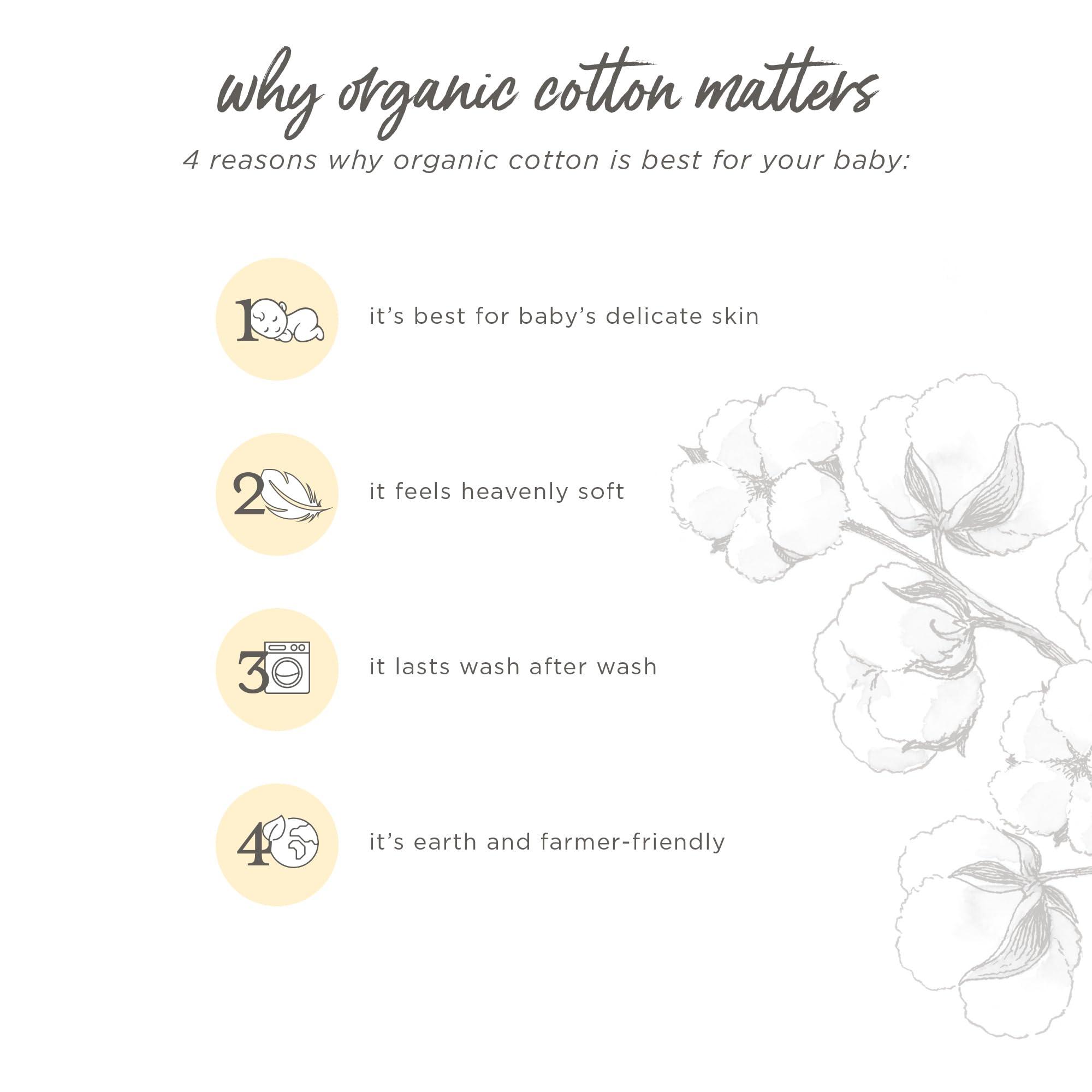 Burt's Bees Baby Burt's Bees Baby Baby Boys' Shirt and Pant Set, Top & Bottom Outfit Bundle, 100% Organic Cotton