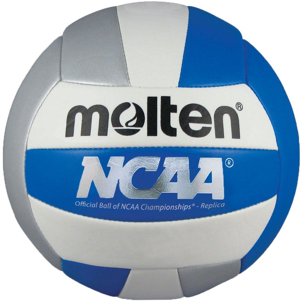 Molten Molten Camp Volleyball (Blue/Silver/White, Official)