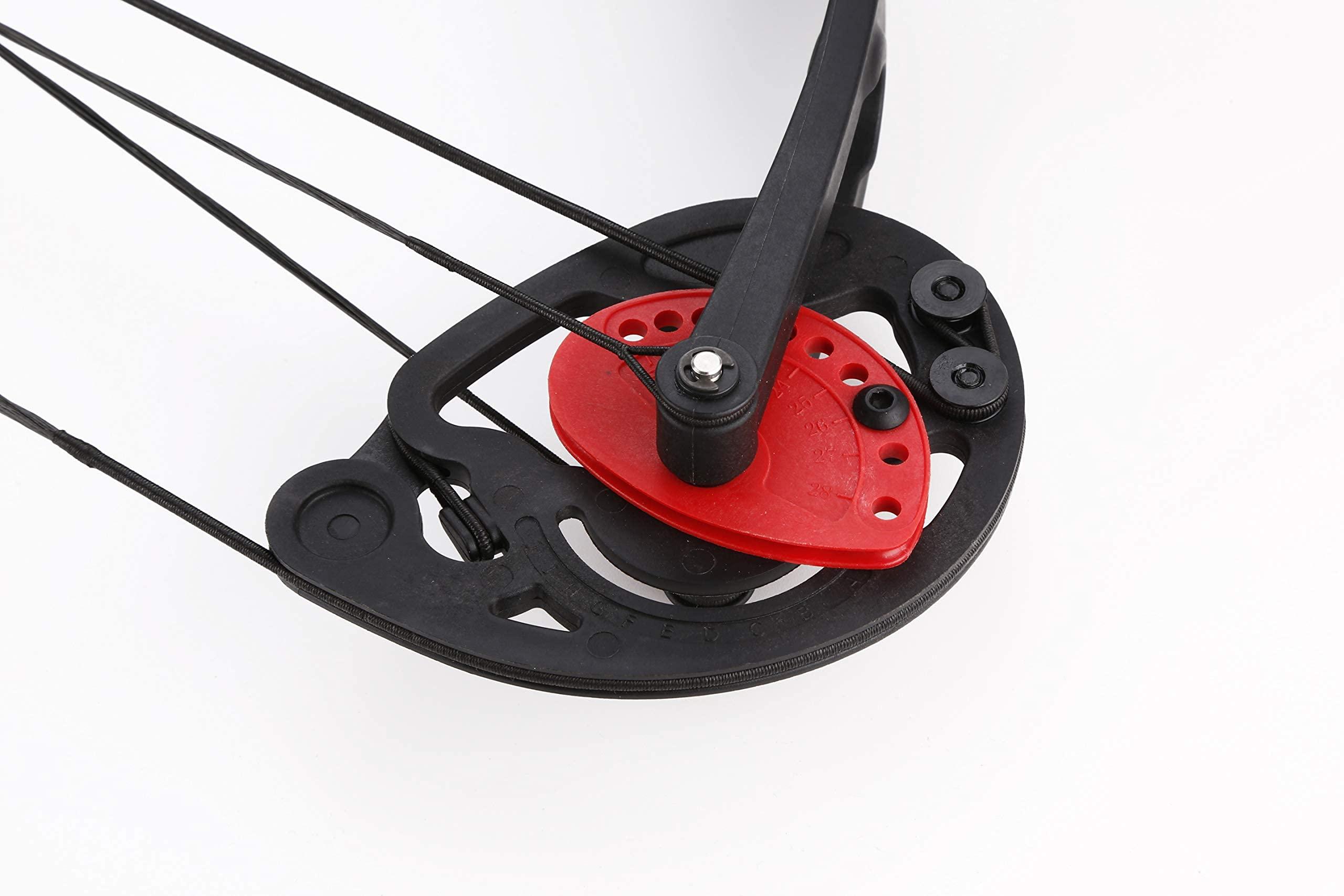 PANDARUS PANDARUS Compound Bow Archery for Youth and Beginner, Right Handed,19-28 Draw Length,15-29 Lbs Draw Weight, 260 fps (Black Right Handed)