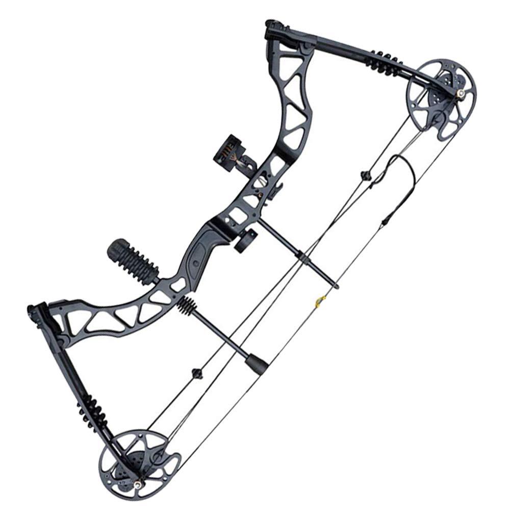 SHARROW SHARROW Archery Compound Bow Kit 30-70lbs Complete Compound Bow Arrow Package Set Adult Hunting Bow with Carbon Arrows 329FPS Right Hand (Black Bow Set)