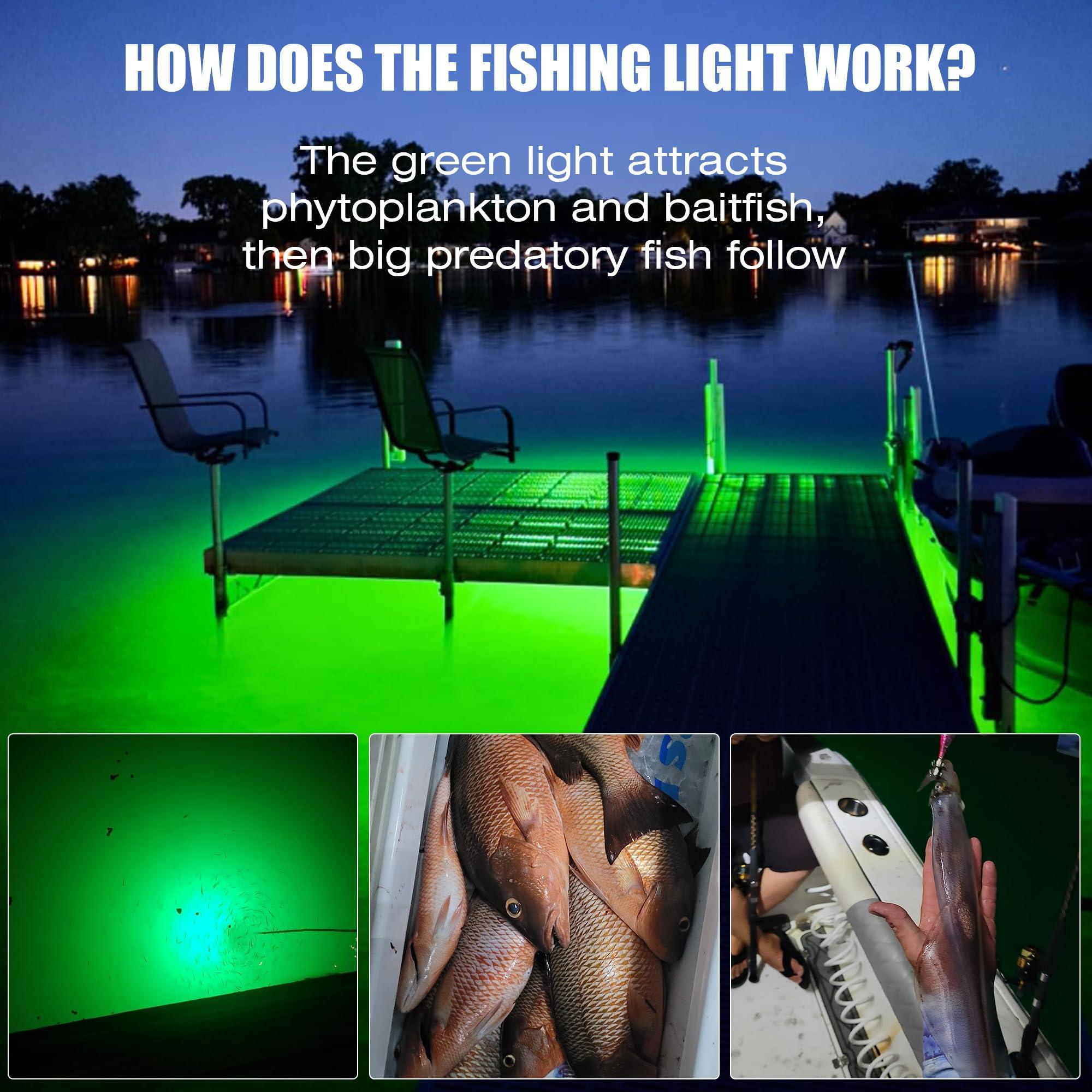 HUSUKU HUSUKU FS3-1 LED Underwater Fishing Light - AC110V 800W 80,000LM with 50ft Cord Green Night Fishing Finder, Fish Attractor, IP68 Led Submersible Lamp for Dock, Crappie, Snook, Squid, Shad, Shrimp
