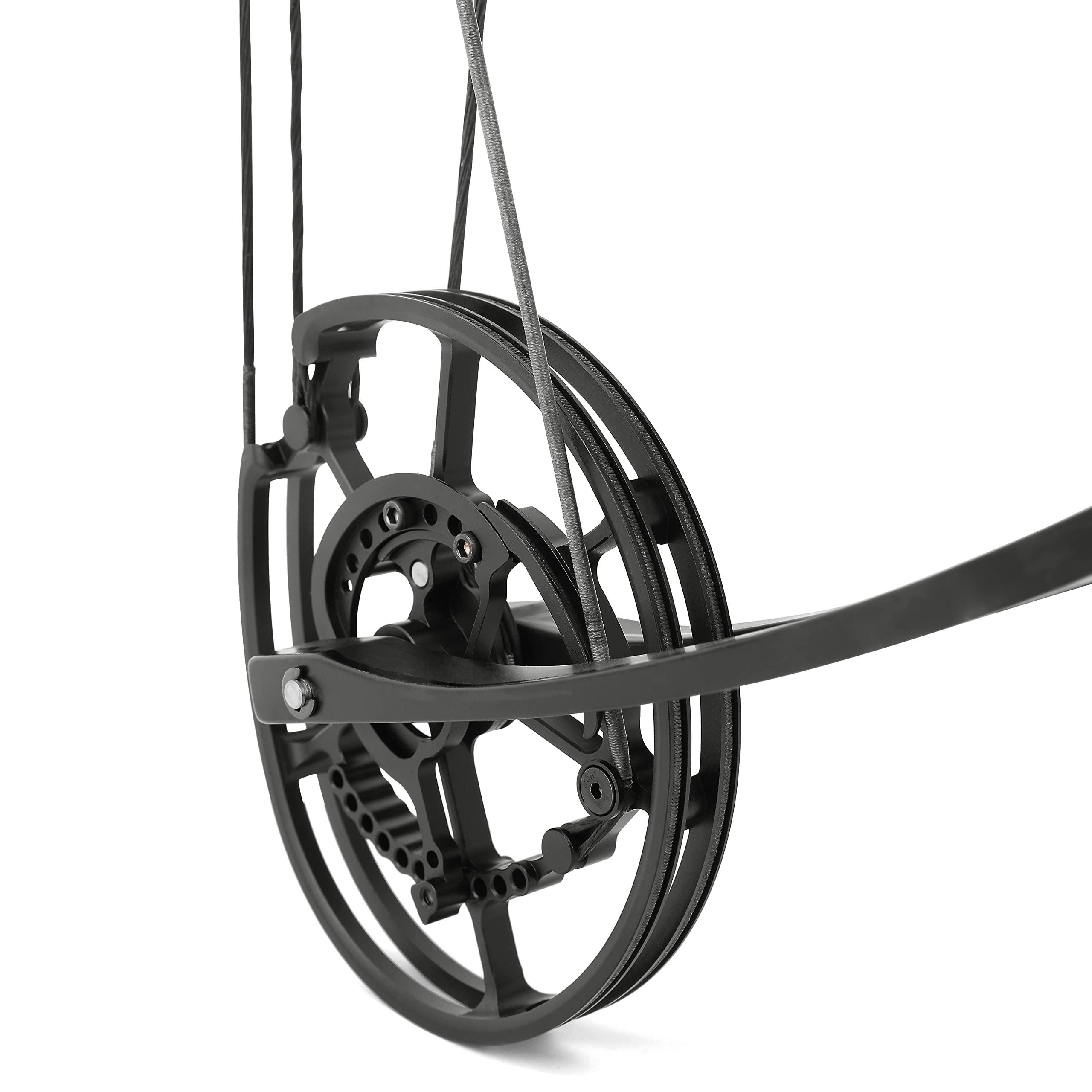 limaity Archery Steel Ball Dual-Purpose Compound Bow 40-65lbs Car Hunting Bow Fishing Steel Ball Bow Suitable for Adults and Youth Beginner Archers Both Left and Right Handed (Bow KIT)