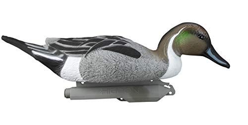 Higdon Outdoors Higdon Outdoors Standard Pintail Duck Decoys, Foam-Filled