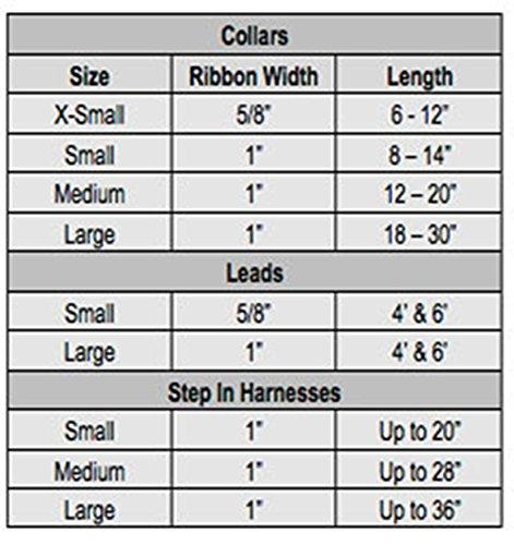 All Star Dogs NCAA Rutgers Scarlet Knights Dog Collar (Team Color, Large)