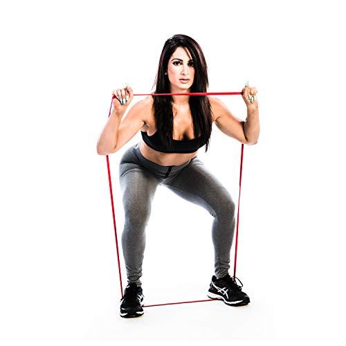 The x Bands THE X BANDS Long Resistance Bands - Squat Bands - Booty Band - Pull Up Bands - Loop Bands - Fitness Bands Resistance Long - Rubber Resistance Bands - Extra Strong Resistance Bands - Set of 5…