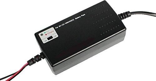 BULLDOG AIRSOFT Bulldog Pro Universal Smart and Fast Charger for RC Cars Helicopters Tanks