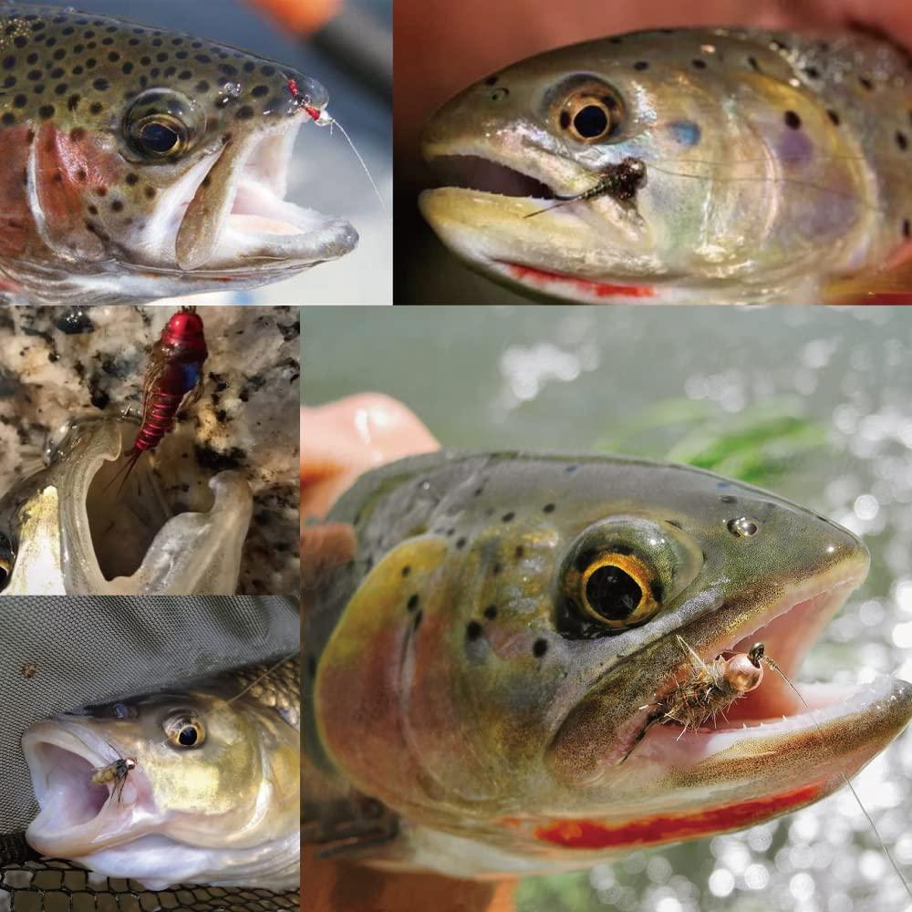 MUUNN MUUNN 200pcs/lot Fly Tying Tungsten Beads,Cyclops Tungsten Nymph Head Ball for Fly Tying Materials 2.5mm,Combination 4 Colors