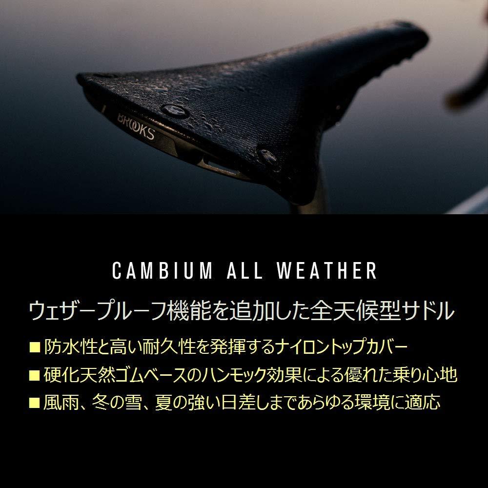 ?????(Brooks) Brooks, Cambium, All Weather C17 Bicycle Saddle