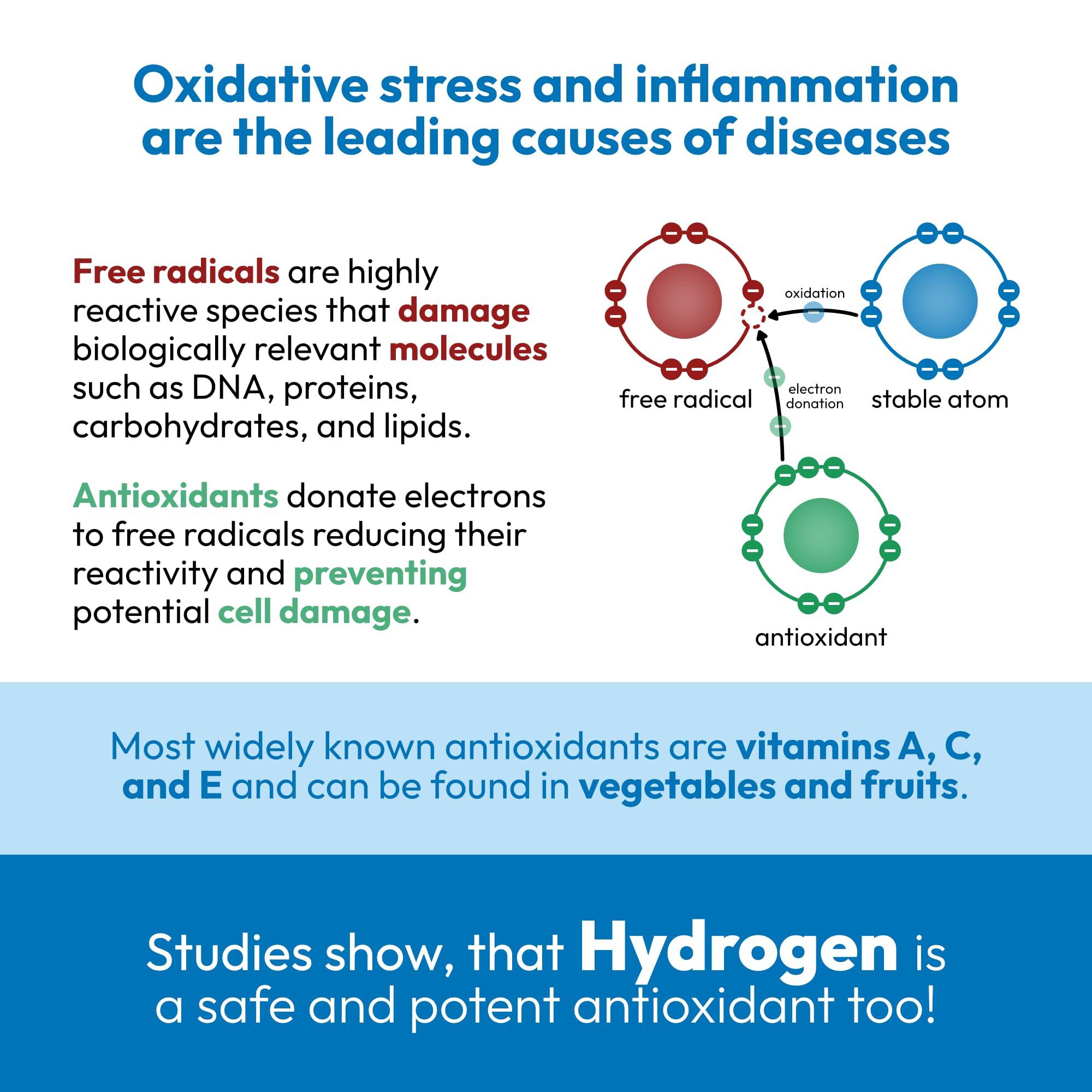 hydroh Hydroh Original Hydrogen Water Bottle 15oz, Portable Hydrogen Water Bottle 2024, Advanced Hydrogen Rich Water Maker with SPE/PEM for Home Office Fitness Travel Drinking