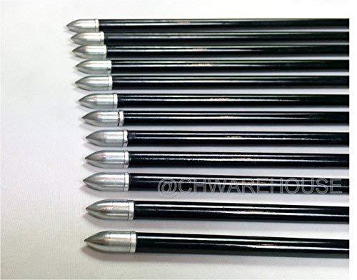 Raise Products Raise Products Capitano 32-Inch Archery Fiberglass Target Practice Arrow Replaceable Screw-in Tips with Nocks and Fletches, 81CM (1 Dozen)