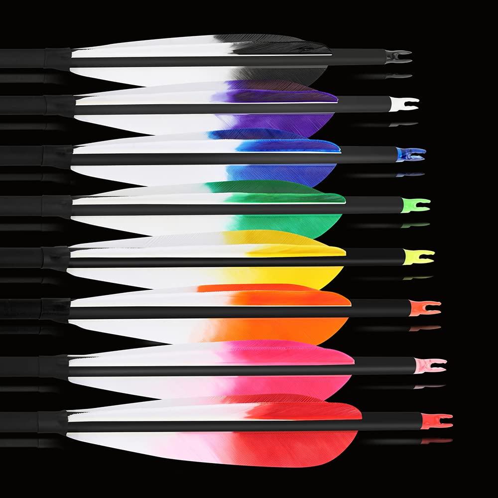 SHARROW 28/30/31 Inch Archery Carbon Arrows Spine 500 Hunting Target Practice Carbon Arrows with 100 Grain Replaceable Tips and 5" Real Feather for Compound & Recurve & Traditional Bow (Yellow, 28 inch/12pcs)