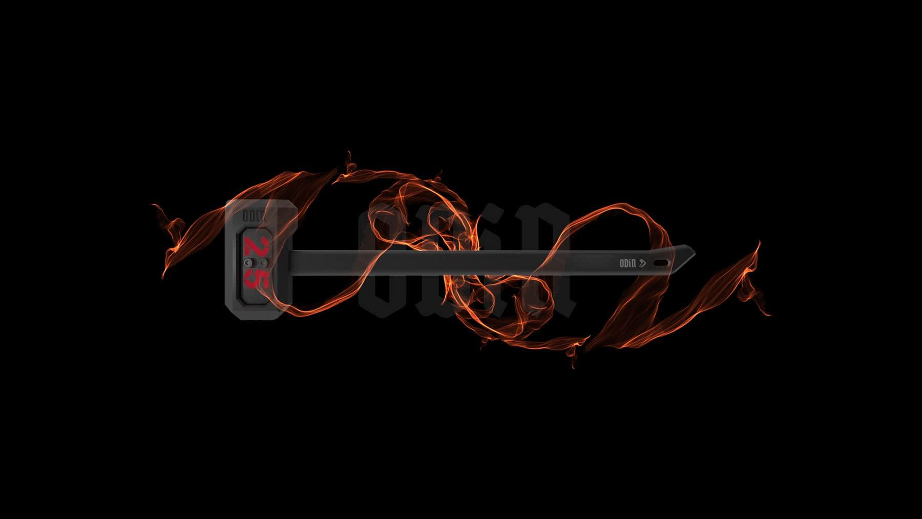 TRIBE WOD Tribe WOD | Interchangeable Weight Plates for Tribe WOD\'s Odin Sledgehammer - Weight Plates for Workout Steel Mace - Hammer not Included (Adds up to 35 LB)