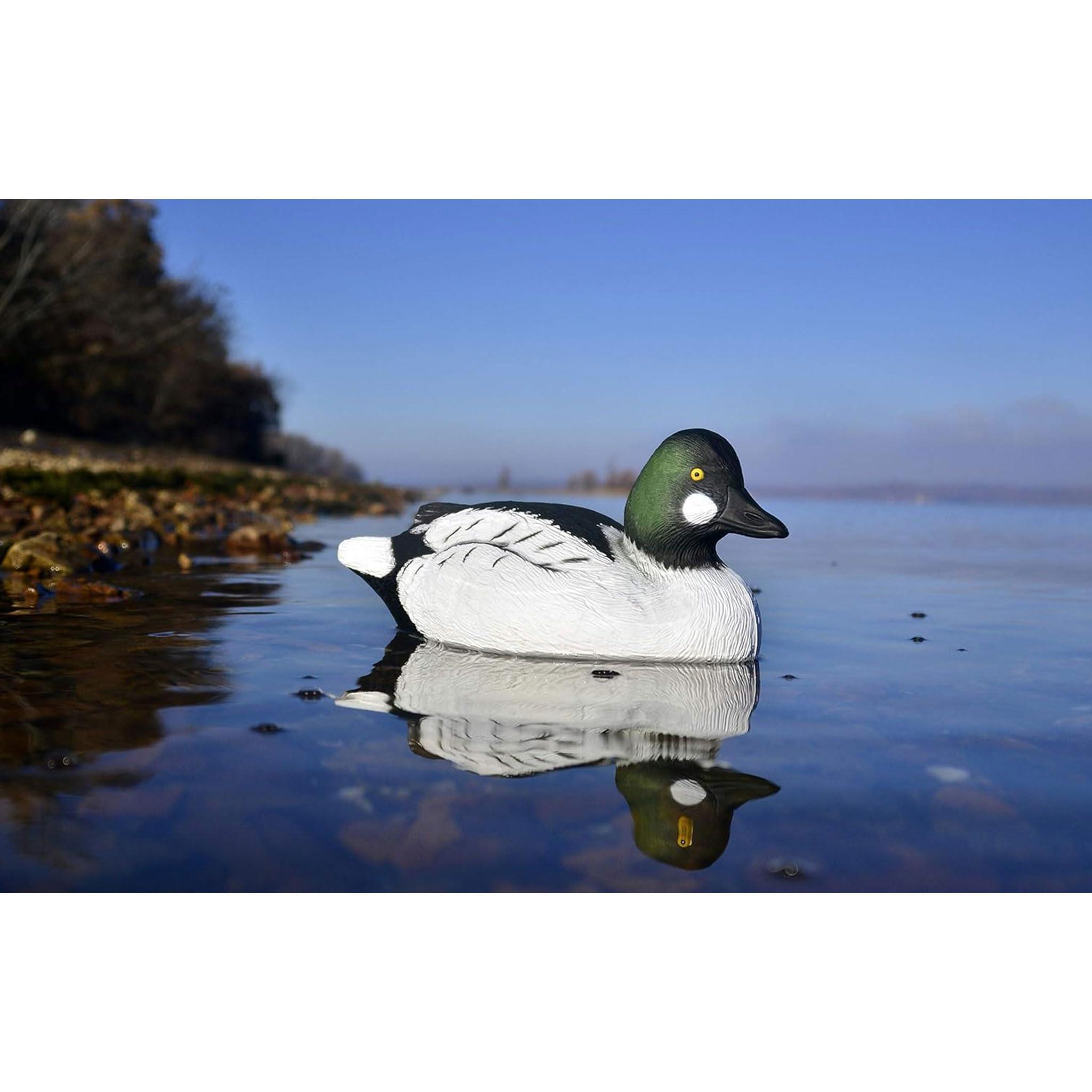 Higdon Outdoors Higdon Outdoors Battleship Goldeneye Duck Decoys, All Drakes, Foam-Filled