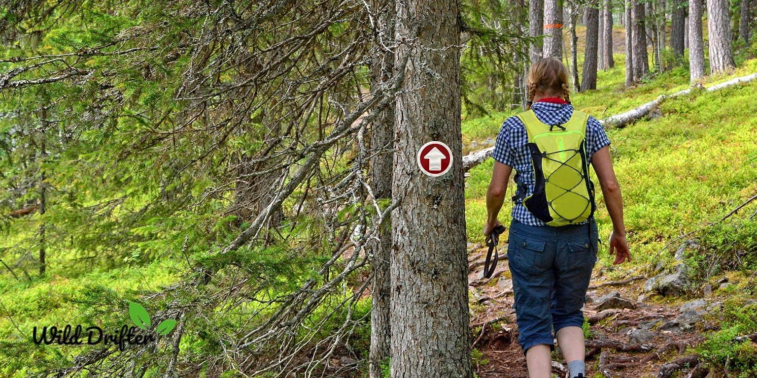 Wild Drifter Wild Drifter Trail Markers - Bright Reflective Trail Marker Pack of 24, Easy to Mount, Mark Your Trees for Hunting, Hiking, Camping, and More. (Red, 24)