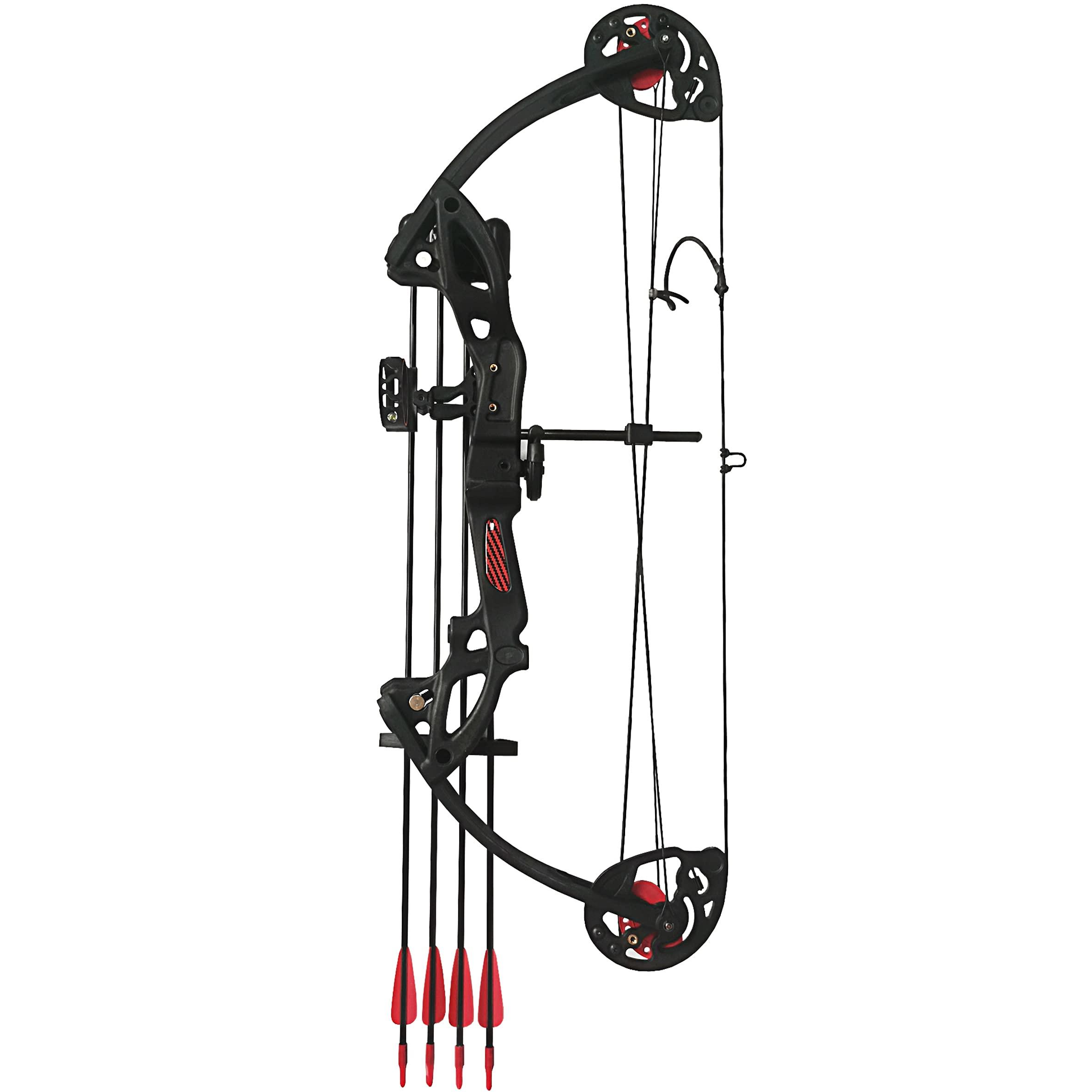 PANDARUS PANDARUS Compound Bow Archery for Youth and Beginner, Right Handed,19-28 Draw Length,15-29 Lbs Draw Weight, 260 fps (Black Right Handed)
