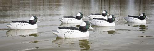 Higdon Outdoors Higdon Outdoors Standard Bufflehead Duck Decoys, All Drakes, Foam-Filled