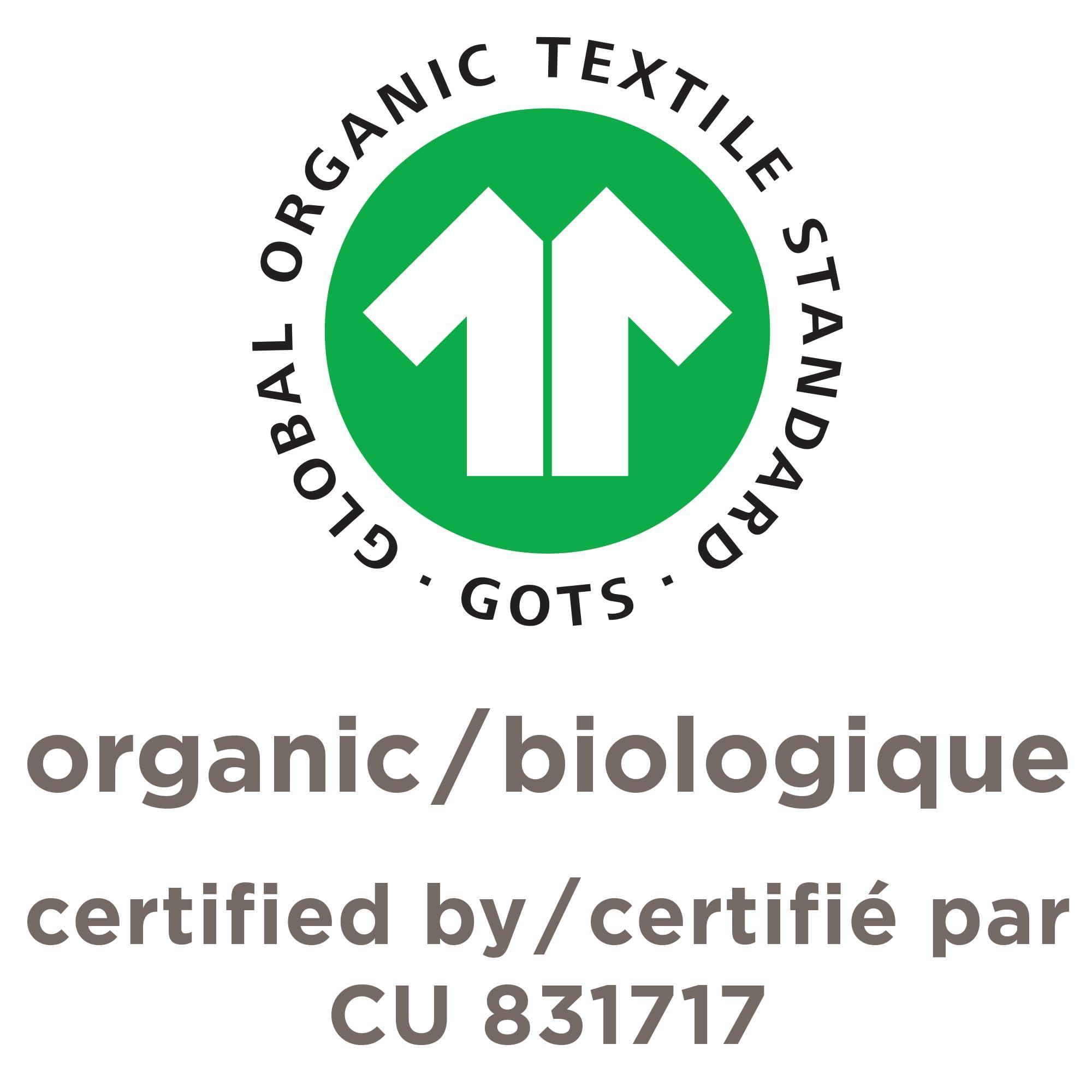 Burt's Bees Baby Burt's Bees Baby Baby Boys' Shirt and Pant Set, Top & Bottom Outfit Bundle, 100% Organic Cotton