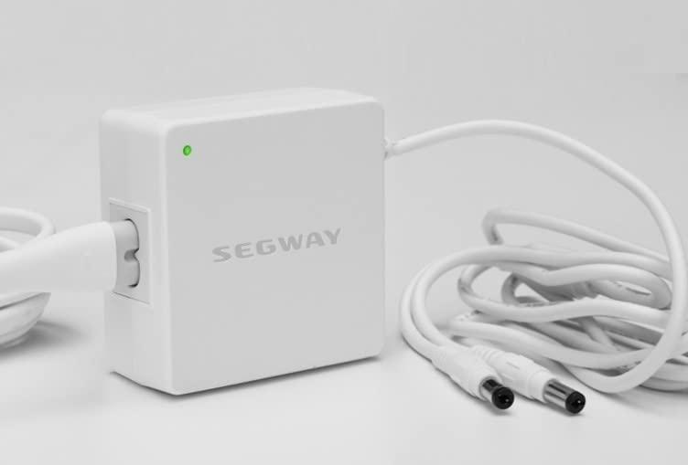 SPEDWHEL SPEDWHEL Original Dual-Head Charger for Segway Ninebot Drift W1 Electric Roller Skates, 25V Output, 1.5A Current Rating, Accessories